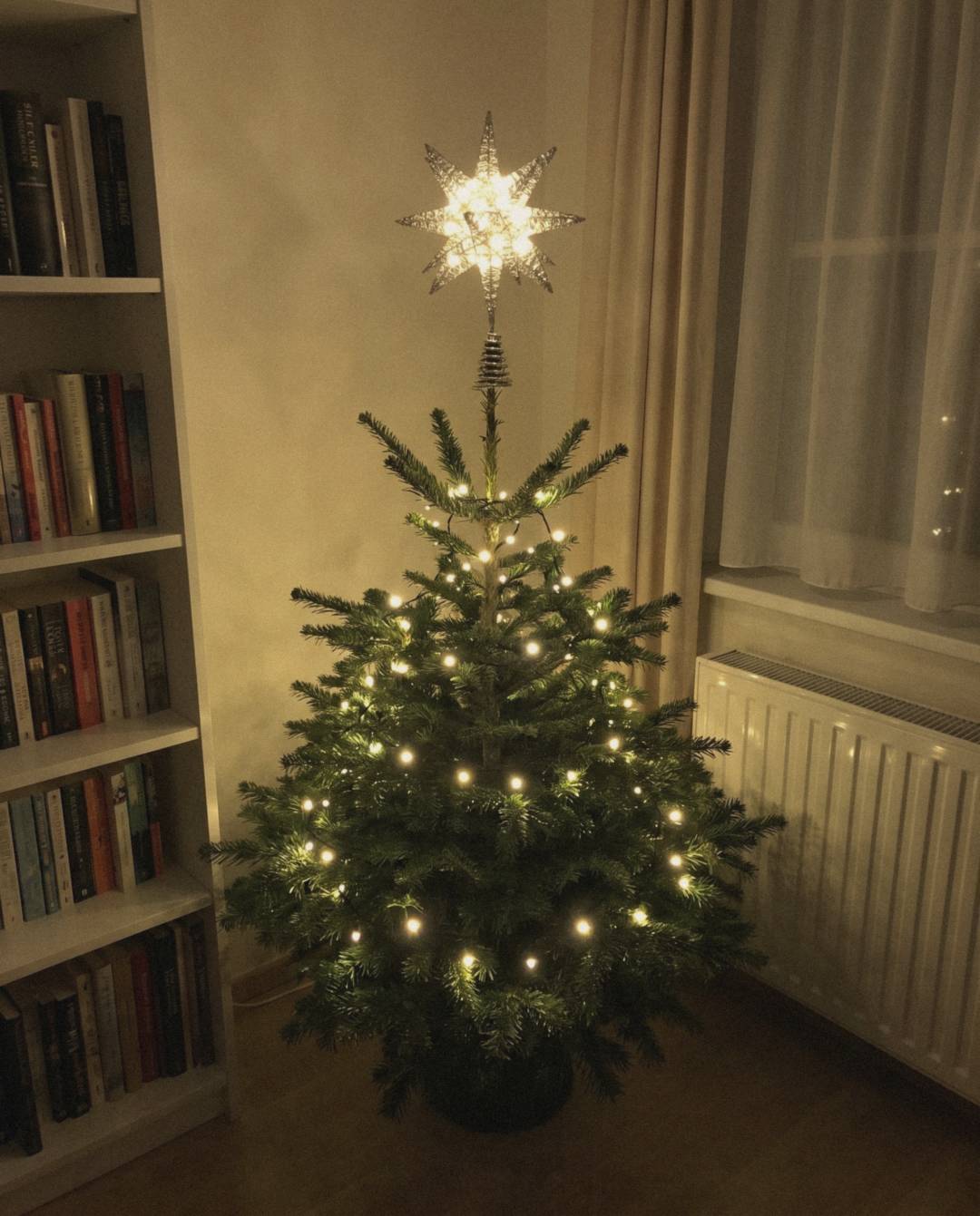 Silver star topper glowing on a small Christmas tree at home