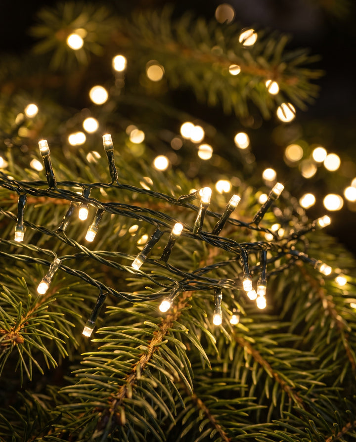 Close-up of dense warm white cluster lights on pine branches