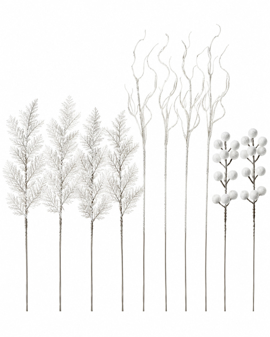 White glitter pine, twig and berry stems fanned out on a white background
