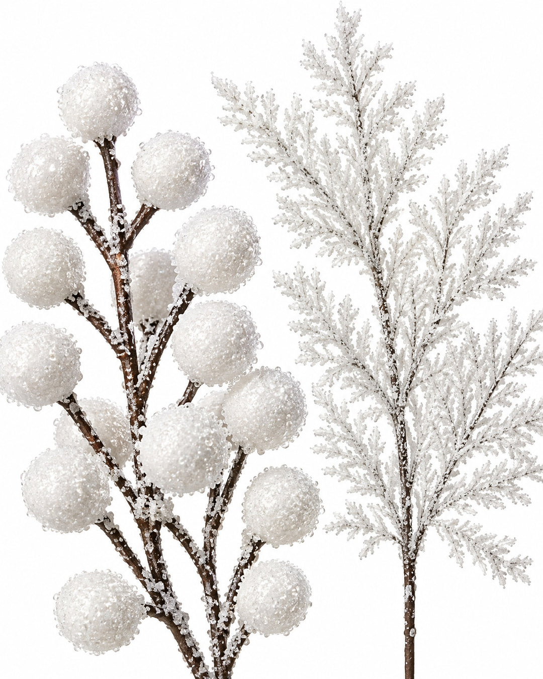 Close-up of the white berries and a frosted pine sprig